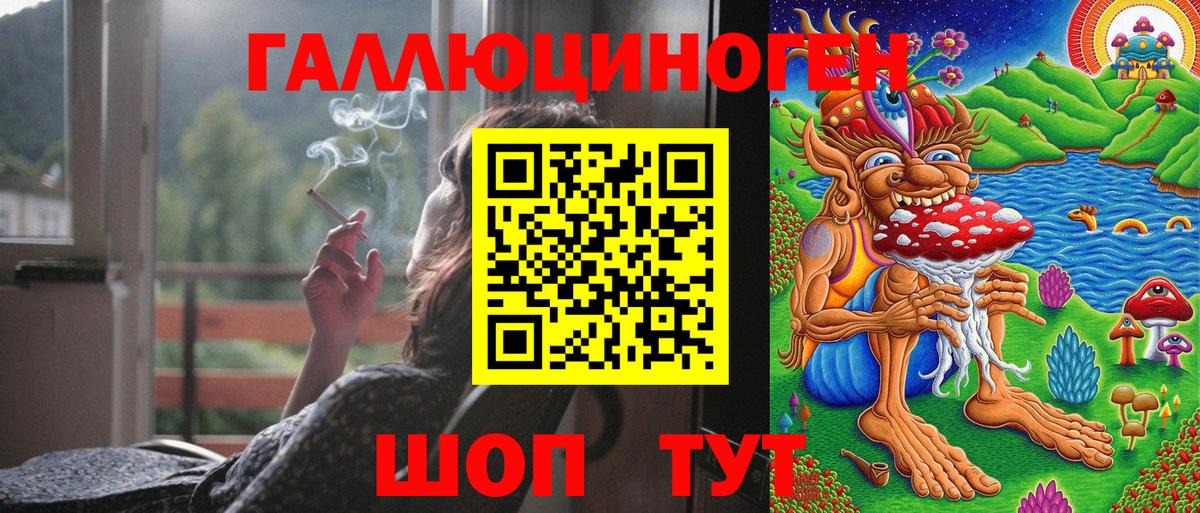 Галлюциногенные грибы Psilocybe Южноуральск
