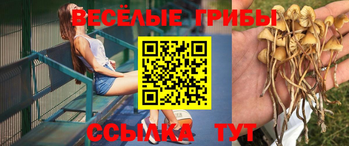 Южноуральск  Псилоцибиновые грибы GOLDEN TEACHER  Галлюциногенные грибы прущие грибы  Вход с VPN 